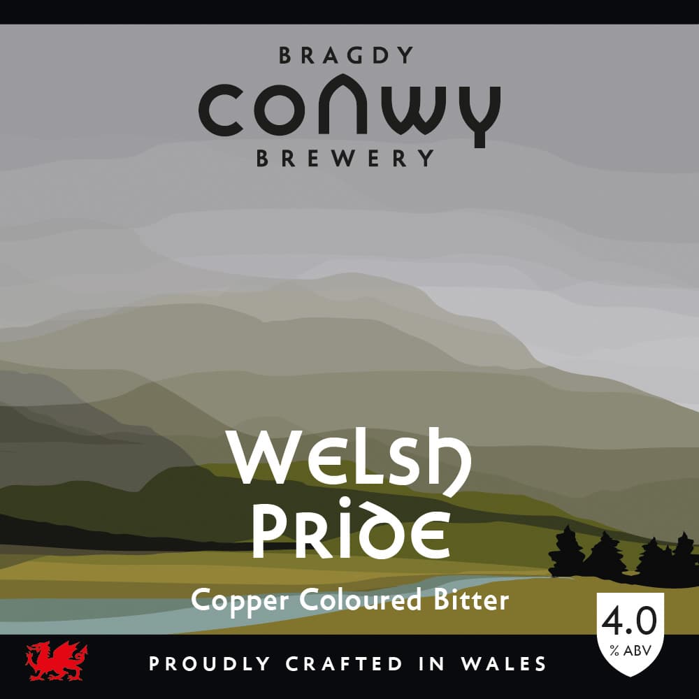 CONWY WELSH PRIDE Image